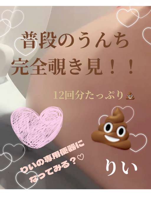 💩うんちたっぷり大満足12回分💩