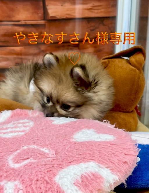 やきなすさん様専用出品♡