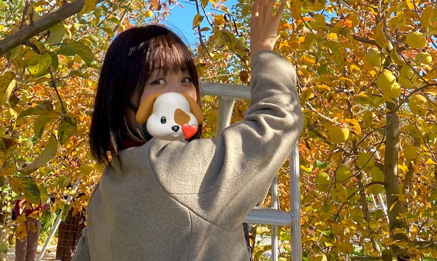 なぁなん