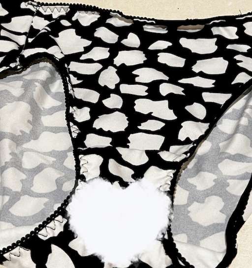 女の子の日パンティ