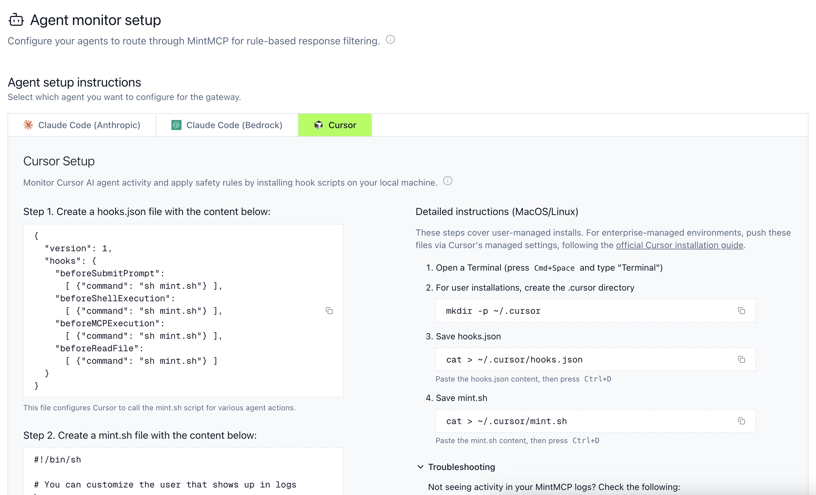 Cursor setup screenshot