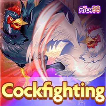 รวมเกมสล็อตทุกค่าย - CockFighting