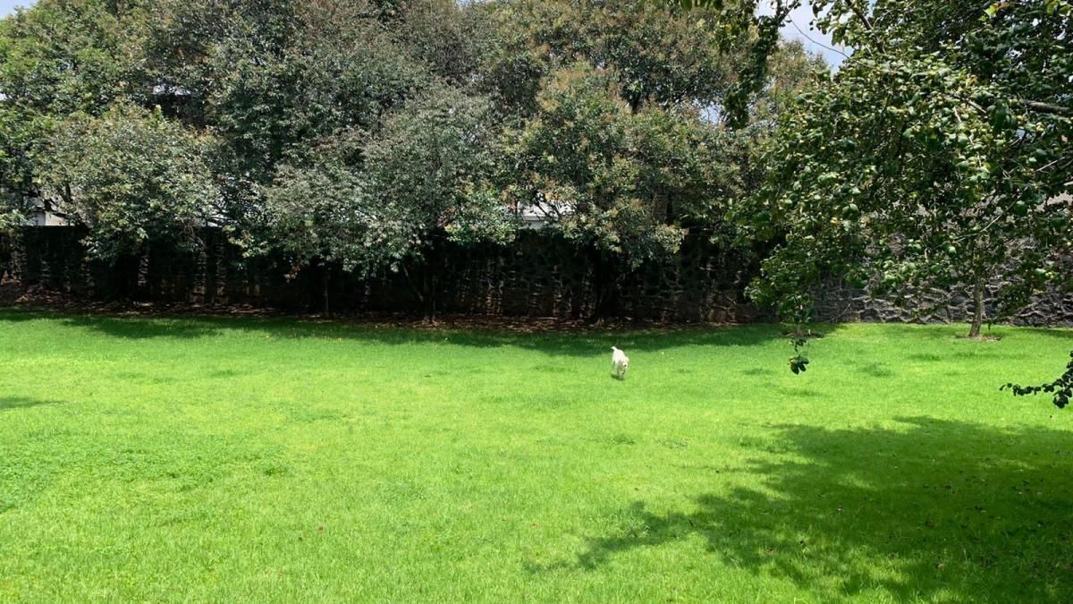 4, 3a. Cda., San Miguel Ajusco, 14700 4, 3a. Cda., San Miguel Ajusco, 14700