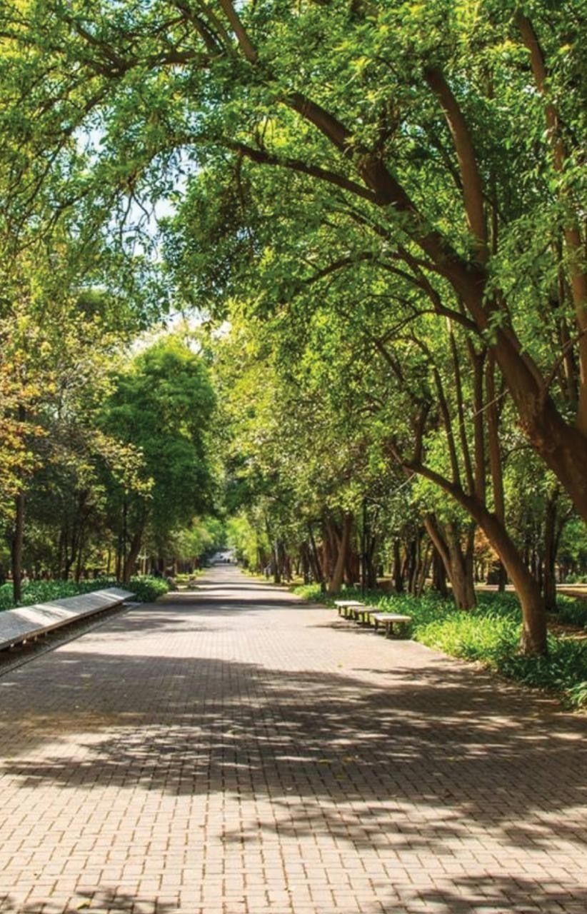 177, Avenida Presidente Masaryk, Polanco, Polanco V Sección, 11560 177, Avenida Presidente Masaryk, Polanco, Polanco V Sección, 11560