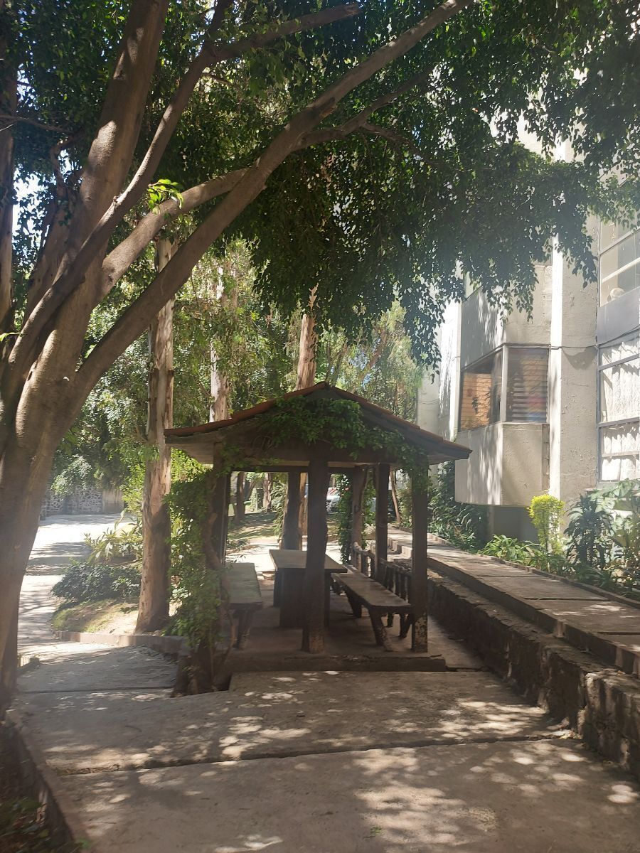 534, Avenida Universidad, Del Carmen, 04100 534, Avenida Universidad, Del Carmen, 04100