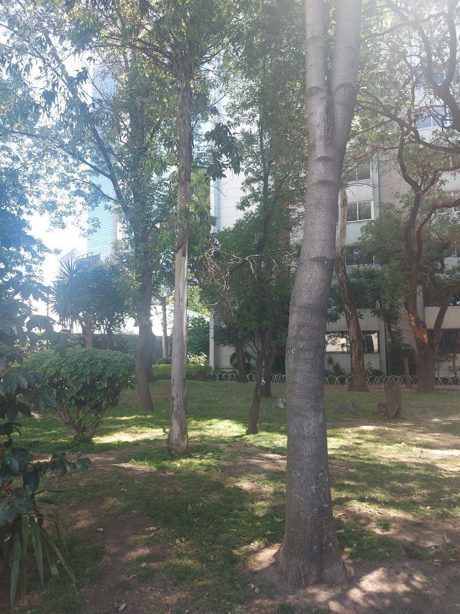 534, Avenida Universidad, Del Carmen, 04100 534, Avenida Universidad, Del Carmen, 04100
