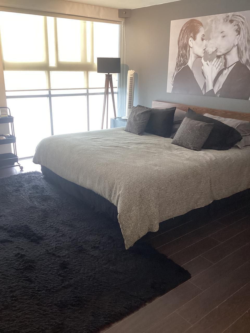 311, Calle Sócrates, Polanco, Polanco II Sección, 11530 311, Calle Sócrates, Polanco, Polanco II Sección, 11530