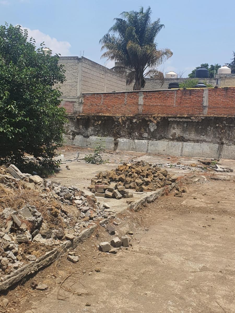 10, Calle Juárez, San Andrés Totoltepec, 14400 10, Calle Juárez, San Andrés Totoltepec, 14400