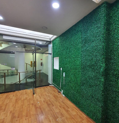 115, Sacramento, Insurgentes San Borja, 03100 115, Sacramento, Insurgentes San Borja, 03100