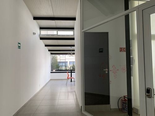 136, Plinio, Polanco, Polanco II Sección, 11530 136, Plinio, Polanco, Polanco II Sección, 11530