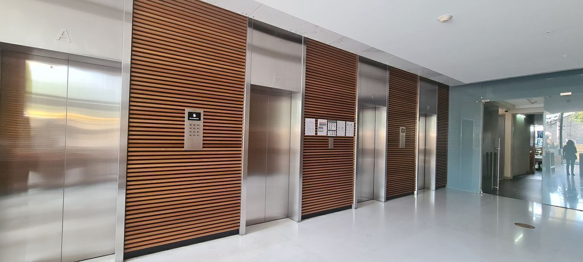 136, Plinio, Polanco, Polanco II Sección, 11530 136, Plinio, Polanco, Polanco II Sección, 11530