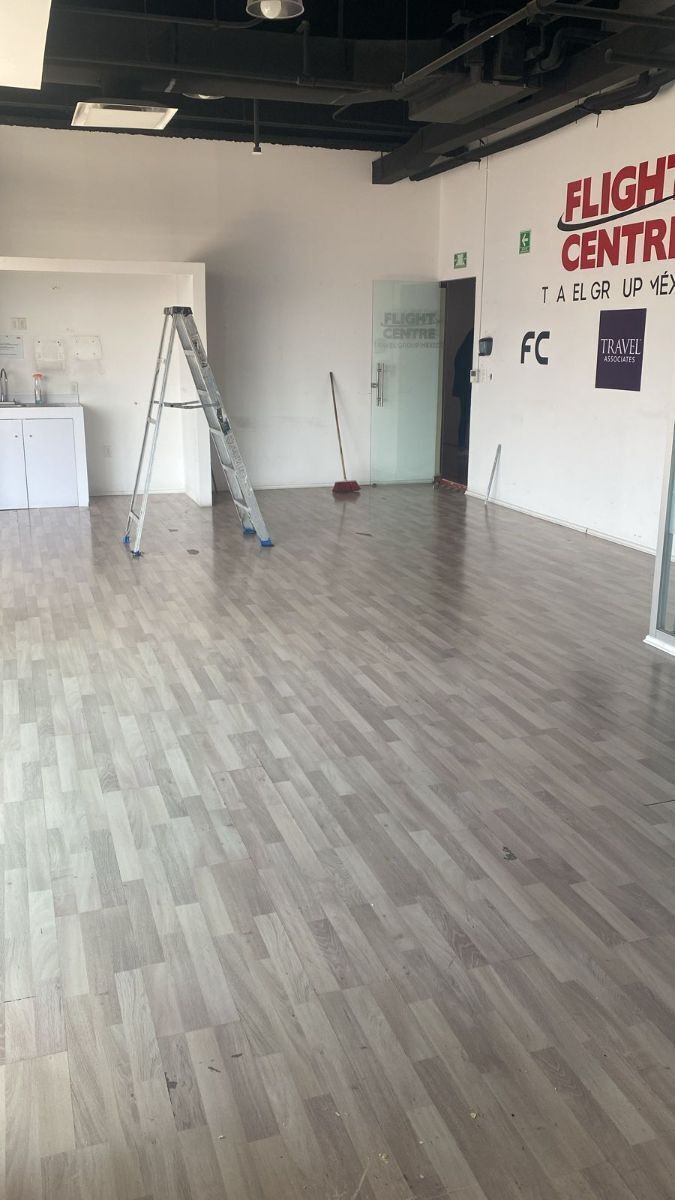 144, Avenida Amatlan, Hipódromo Condesa, 06170 144, Avenida Amatlan, Hipódromo Condesa, 06170