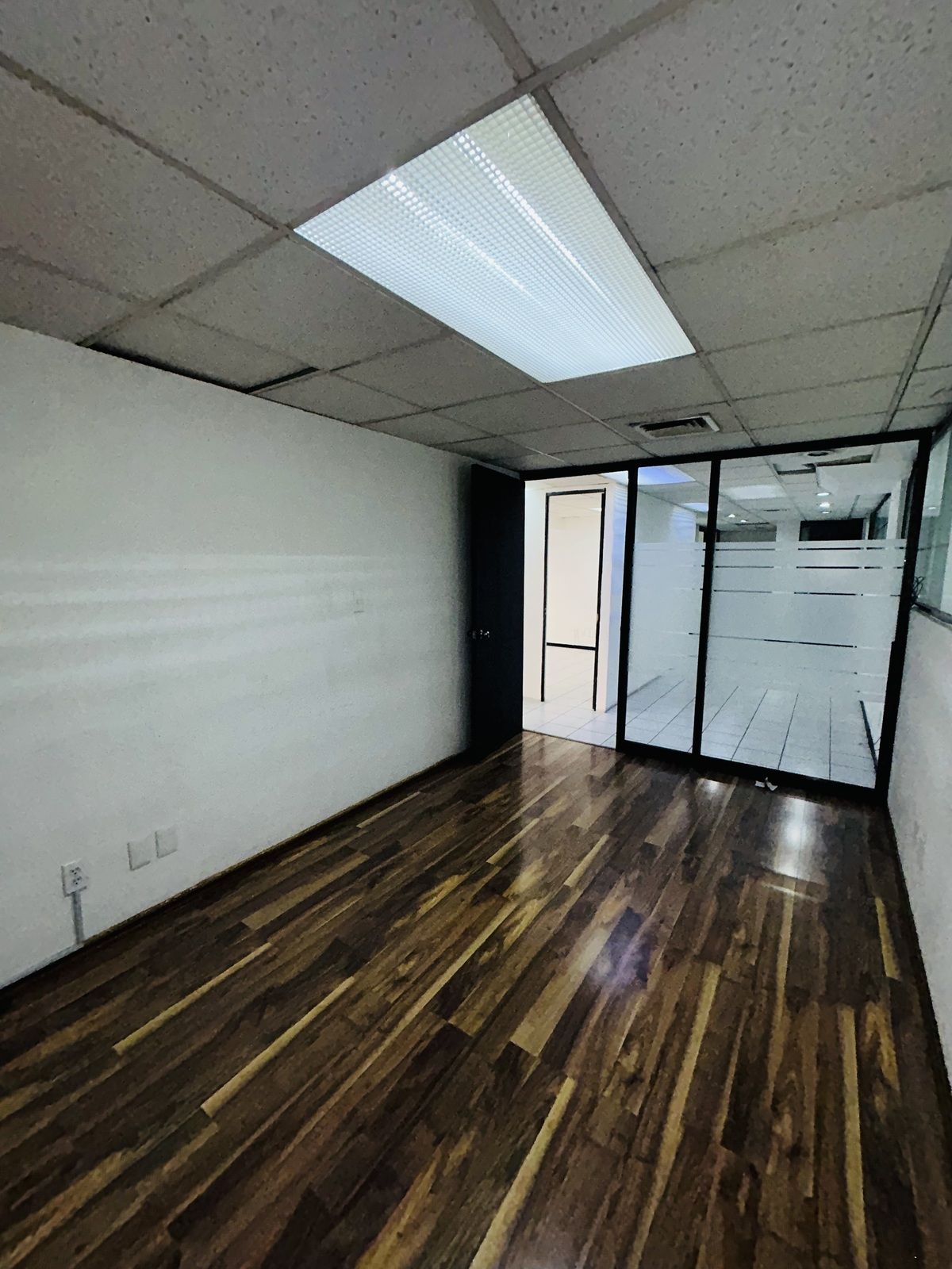 1480, Avenida Cuauhtémoc, Santa Cruz Atoyac, 03310 1480, Avenida Cuauhtémoc, Santa Cruz Atoyac, 03310