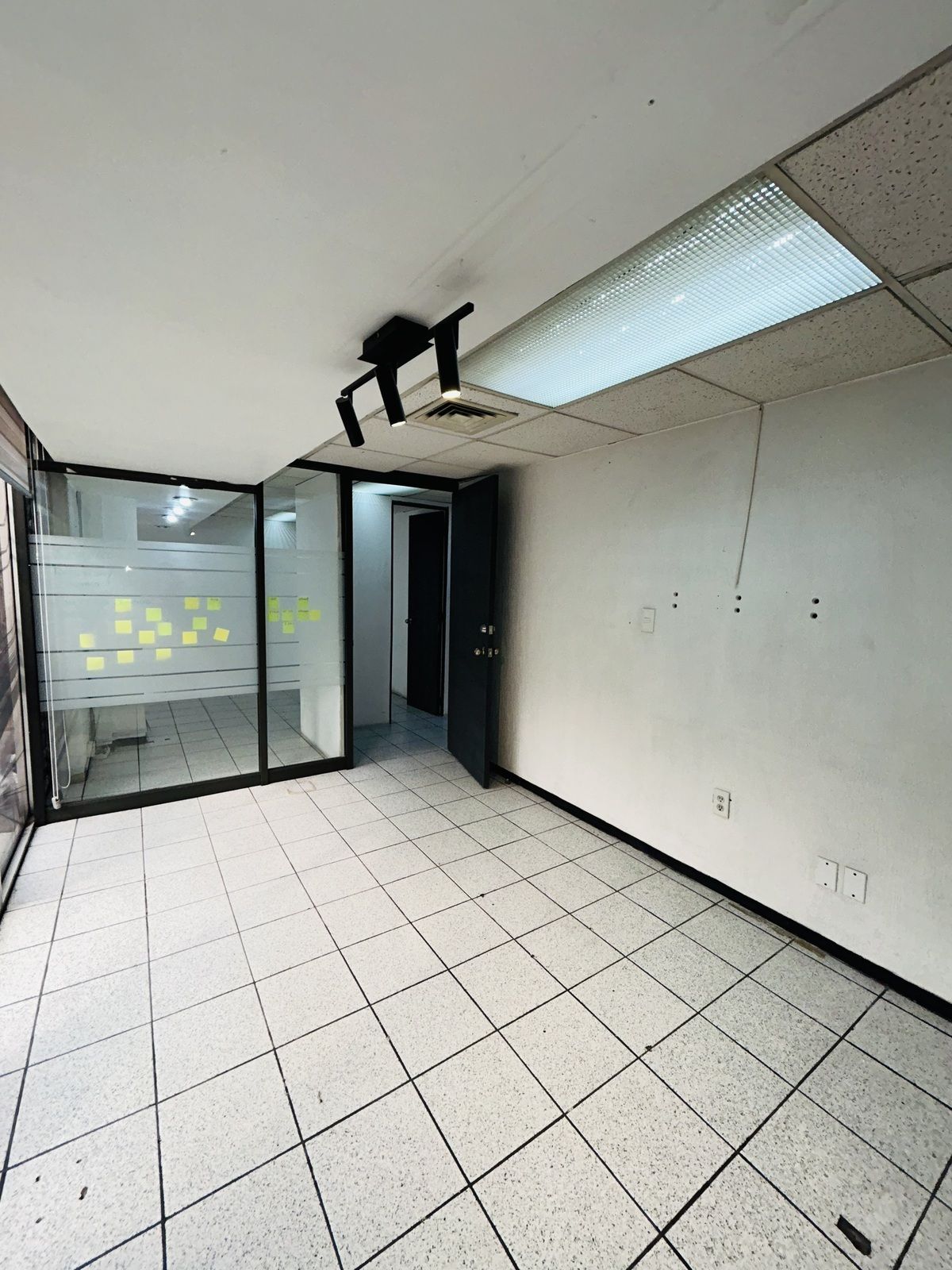 1480, Avenida Cuauhtémoc, Santa Cruz Atoyac, 03310 1480, Avenida Cuauhtémoc, Santa Cruz Atoyac, 03310
