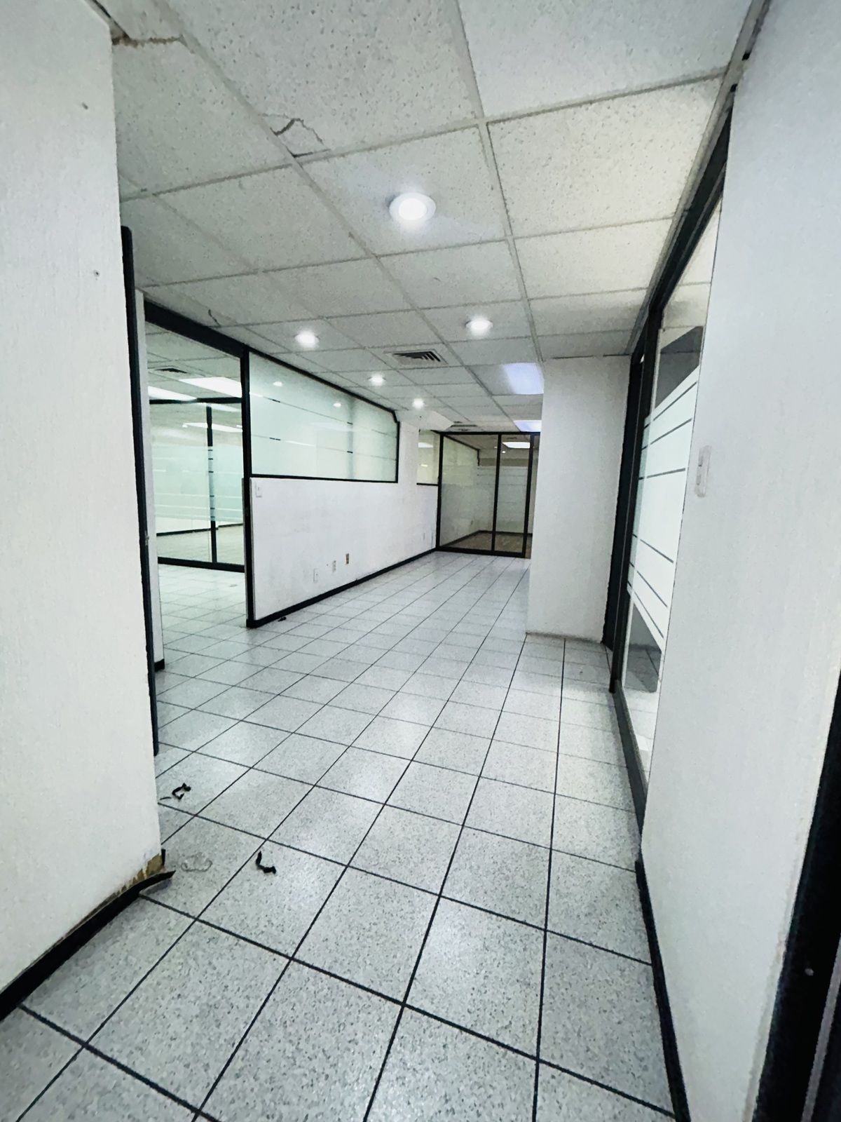 1480, Avenida Cuauhtémoc, Santa Cruz Atoyac, 03310 1480, Avenida Cuauhtémoc, Santa Cruz Atoyac, 03310