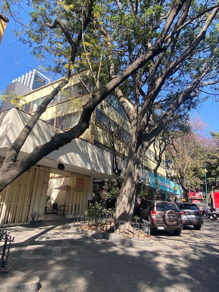 149, Londres, Juárez, 06600 con 0 Recámaras, 2 Baños, 126 Metros Cuadrados y 2 Puestos de Estacionamiento 149, Londres, Juárez, 06600 con 0 Recámaras, 2 Baños, 126 Metros Cuadrados y 2 Puestos de Estacionamiento