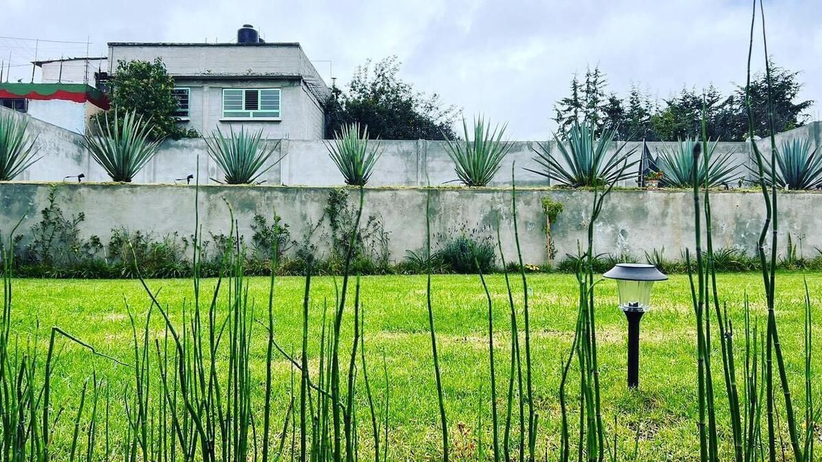 15, Chabacano, San Mateo Tlaltenango, 05600 15, Chabacano, San Mateo Tlaltenango, 05600