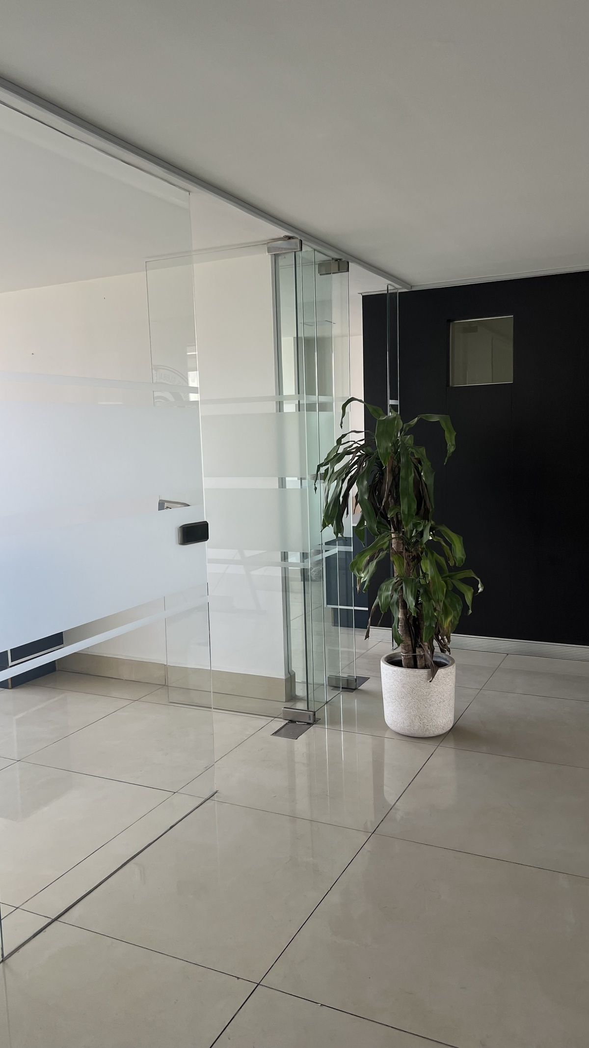 150-13, Avenida Tamaulipas, Colonia Condesa, 06140 150-13, Avenida Tamaulipas, Colonia Condesa, 06140