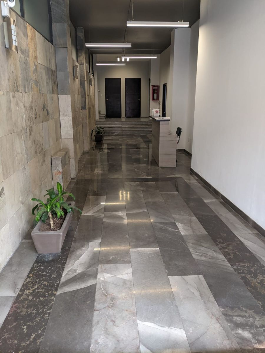153, Medellín, Roma Norte, 06700 153, Medellín, Roma Norte, 06700