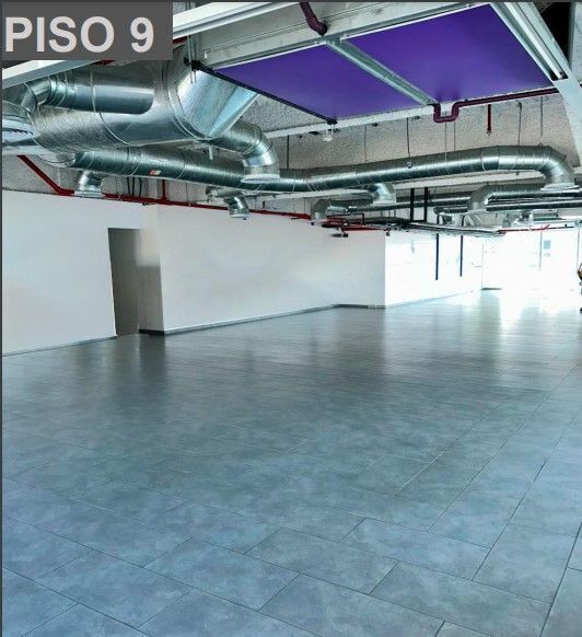 161, Londres, Juárez, 06600 161, Londres, Juárez, 06600
