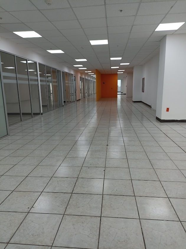 164, Avenida Paseo de la Reforma, Juárez, 06600 164, Avenida Paseo de la Reforma, Juárez, 06600