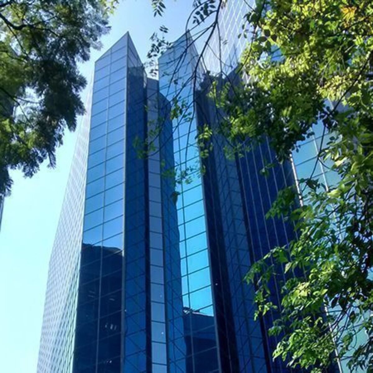 1685, Avenida Insurgentes Sur, Guadalupe Inn, 01020 1685, Avenida Insurgentes Sur, Guadalupe Inn, 01020