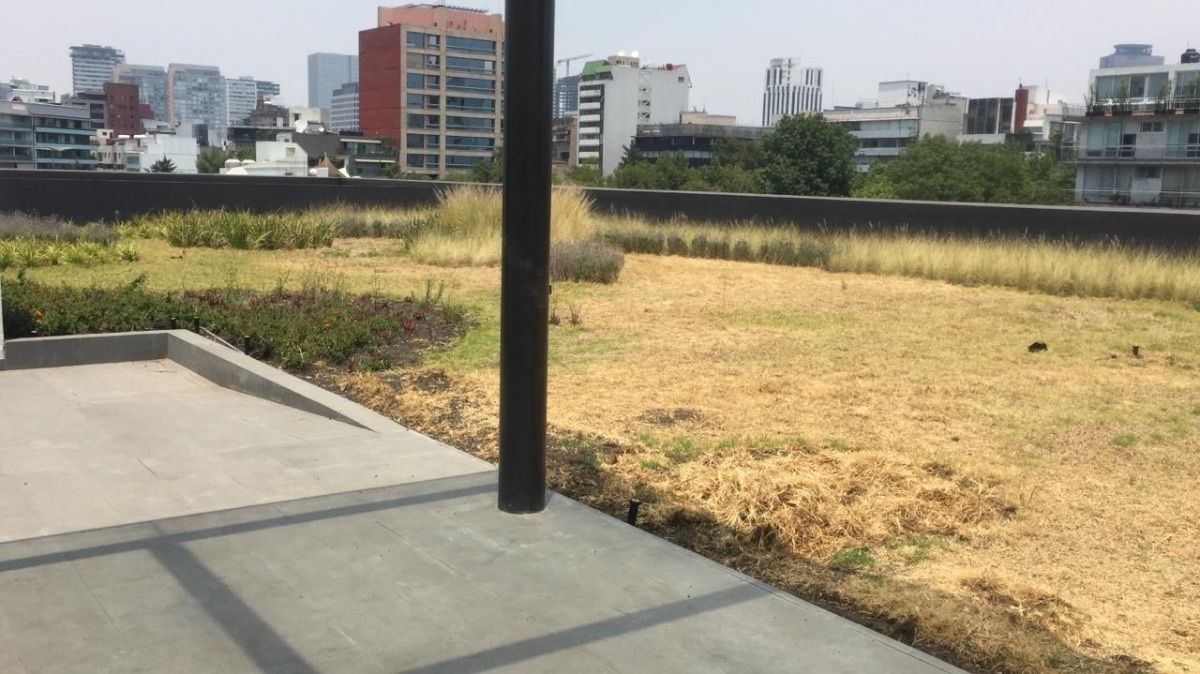 169 Pb, Avenida Presidente Masaryk, Chapultepec Morales, Lomas de Chapultepec, 11570 con 0 Recámaras, 4 Baños, 1475 Metros Cuadrados y 49 Puestos de Estacionamiento 169 Pb, Avenida Presidente Masaryk, Chapultepec Morales, Lomas de Chapultepec, 11570 con 0 Recámaras, 4 Baños, 1475 Metros Cuadrados y 49 Puestos de Estacionamiento