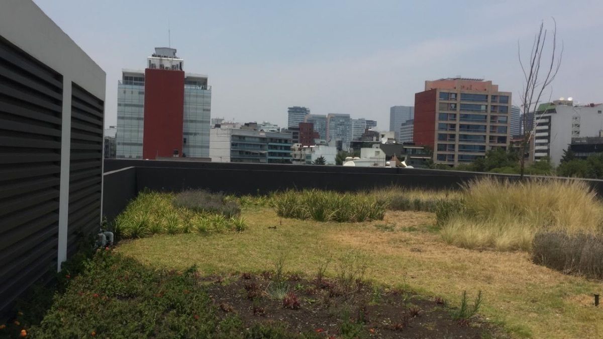 169 Pb, Avenida Presidente Masaryk, Chapultepec Morales, Lomas de Chapultepec, 11570 con 0 Recámaras, 4 Baños, 1475 Metros Cuadrados y 49 Puestos de Estacionamiento 169 Pb, Avenida Presidente Masaryk, Chapultepec Morales, Lomas de Chapultepec, 11570 con 0 Recámaras, 4 Baños, 1475 Metros Cuadrados y 49 Puestos de Estacionamiento