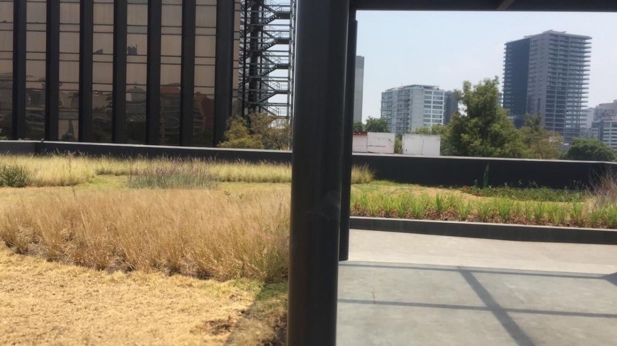169 Pb, Avenida Presidente Masaryk, Chapultepec Morales, Lomas de Chapultepec, 11570 con 0 Recámaras, 4 Baños, 578 Metros Cuadrados y 15 Puestos de Estacionamiento 169 Pb, Avenida Presidente Masaryk, Chapultepec Morales, Lomas de Chapultepec, 11570 con 0 Recámaras, 4 Baños, 578 Metros Cuadrados y 15 Puestos de Estacionamiento