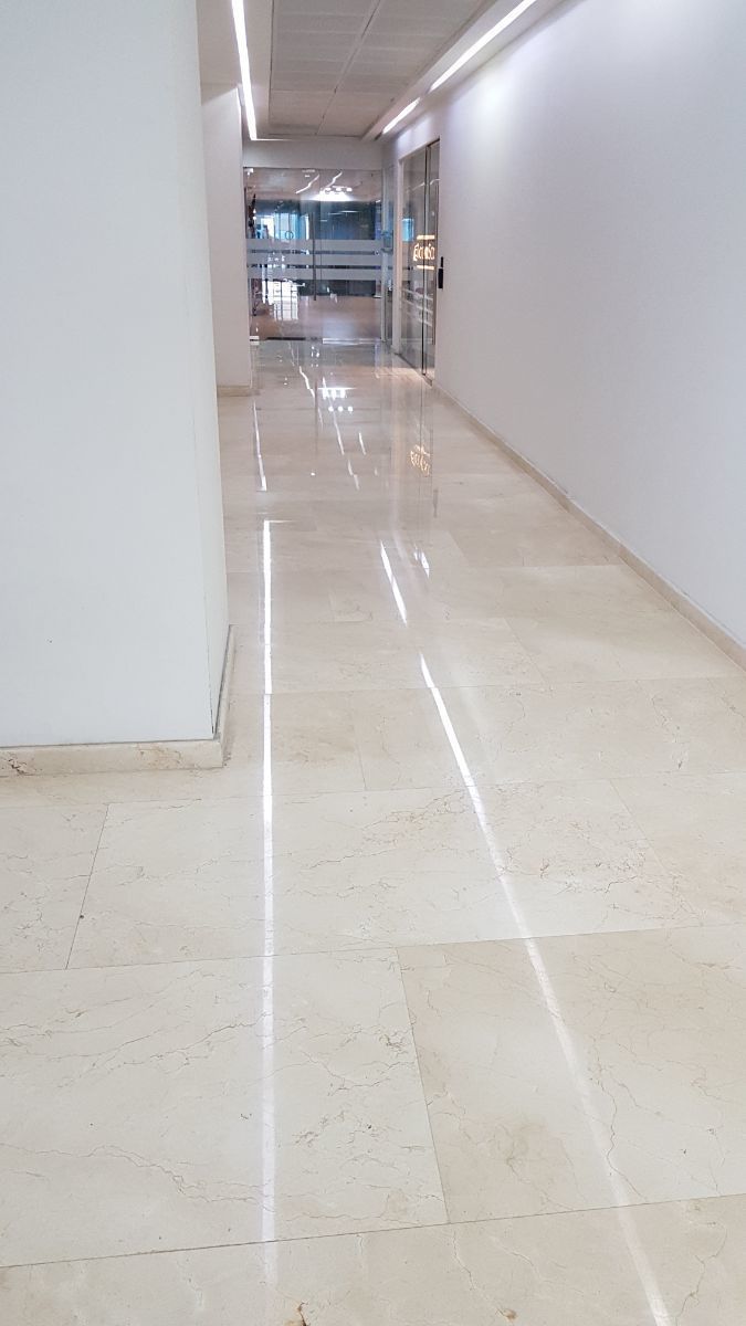 1919, Avenida Revolución, Tizapán San Ángel, San Ángel, 01090 con 0 Recámaras, 8 Baños, 480 Metros Cuadrados y 15 Puestos de Estacionamiento 1919, Avenida Revolución, Tizapán San Ángel, San Ángel, 01090 con 0 Recámaras, 8 Baños, 480 Metros Cuadrados y 15 Puestos de Estacionamiento