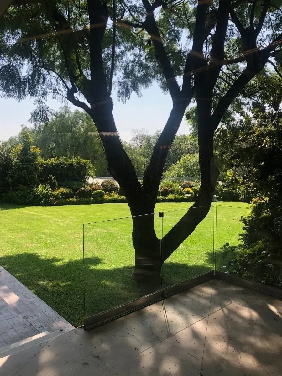 2, Guija, Lomas de Chapultepec I Sección, 01490