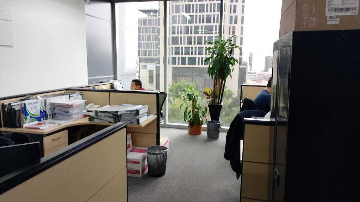 202, Hamburgo, Juárez, 06600 202, Hamburgo, Juárez, 06600