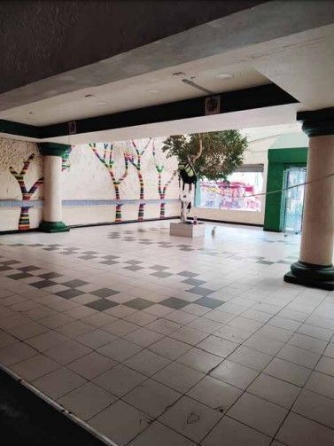 20B, Ponciano Arriaga, Tabacalera, 06030 con 0 Recámaras, 0 Baños, 345 Metros Cuadrados y $70,000 20B, Ponciano Arriaga, Tabacalera, 06030 con 0 Recámaras, 0 Baños, 345 Metros Cuadrados y $70,000