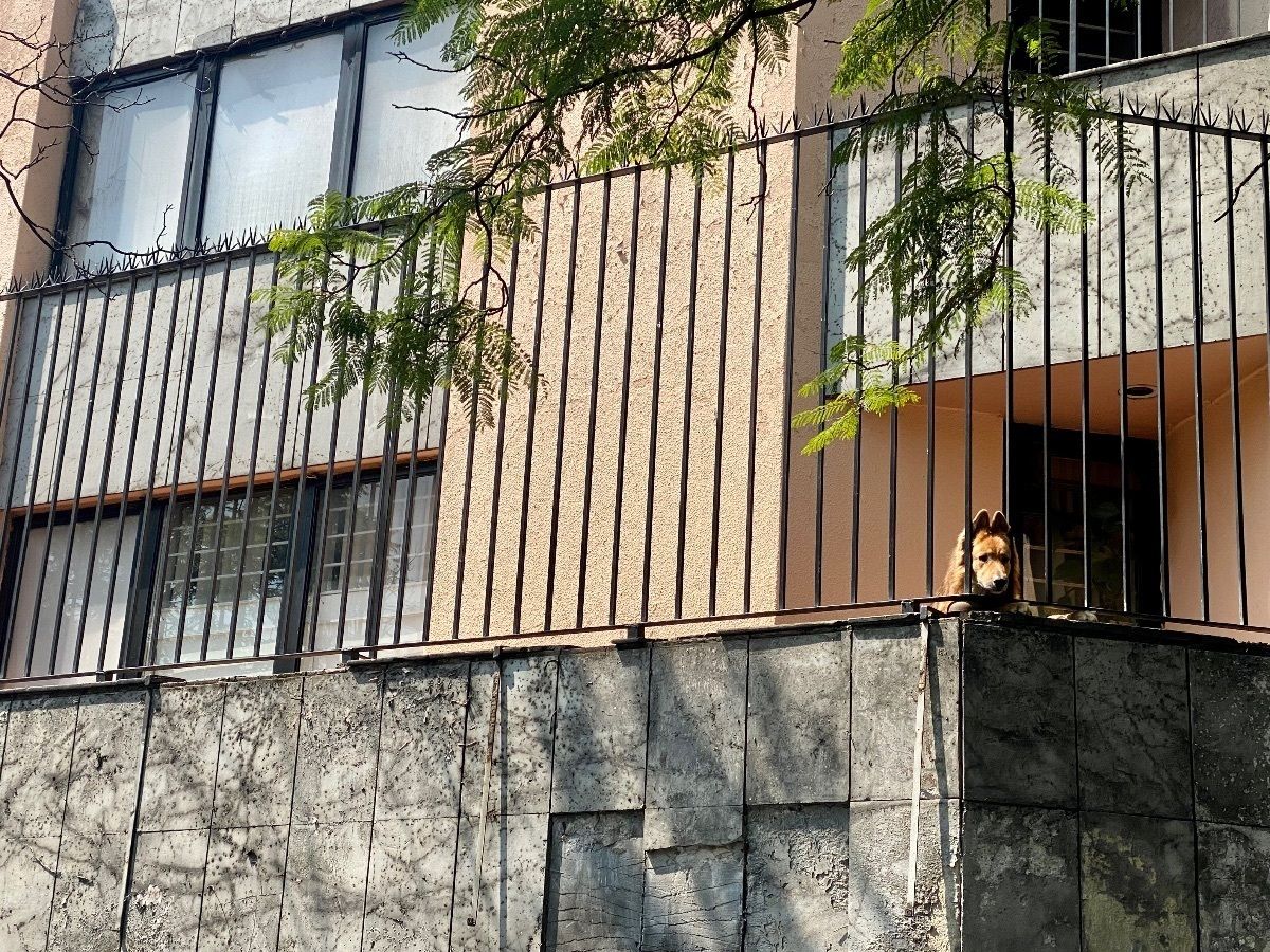 2133, Avenida Insurgentes Sur, San Ángel, 01000 con 0 Recámaras, 0 Baños, 860 Metros Cuadrados y $250,000 2133, Avenida Insurgentes Sur, San Ángel, 01000 con 0 Recámaras, 0 Baños, 860 Metros Cuadrados y $250,000
