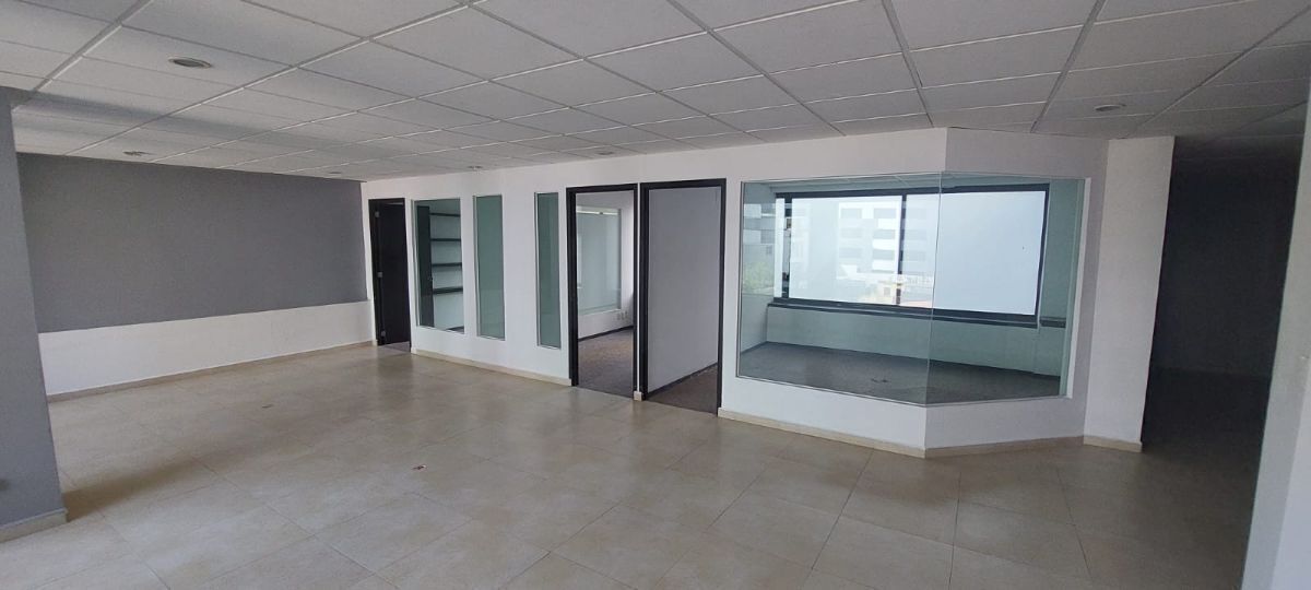 216, Avenida Baja California, Roma Sur, 06760 216, Avenida Baja California, Roma Sur, 06760