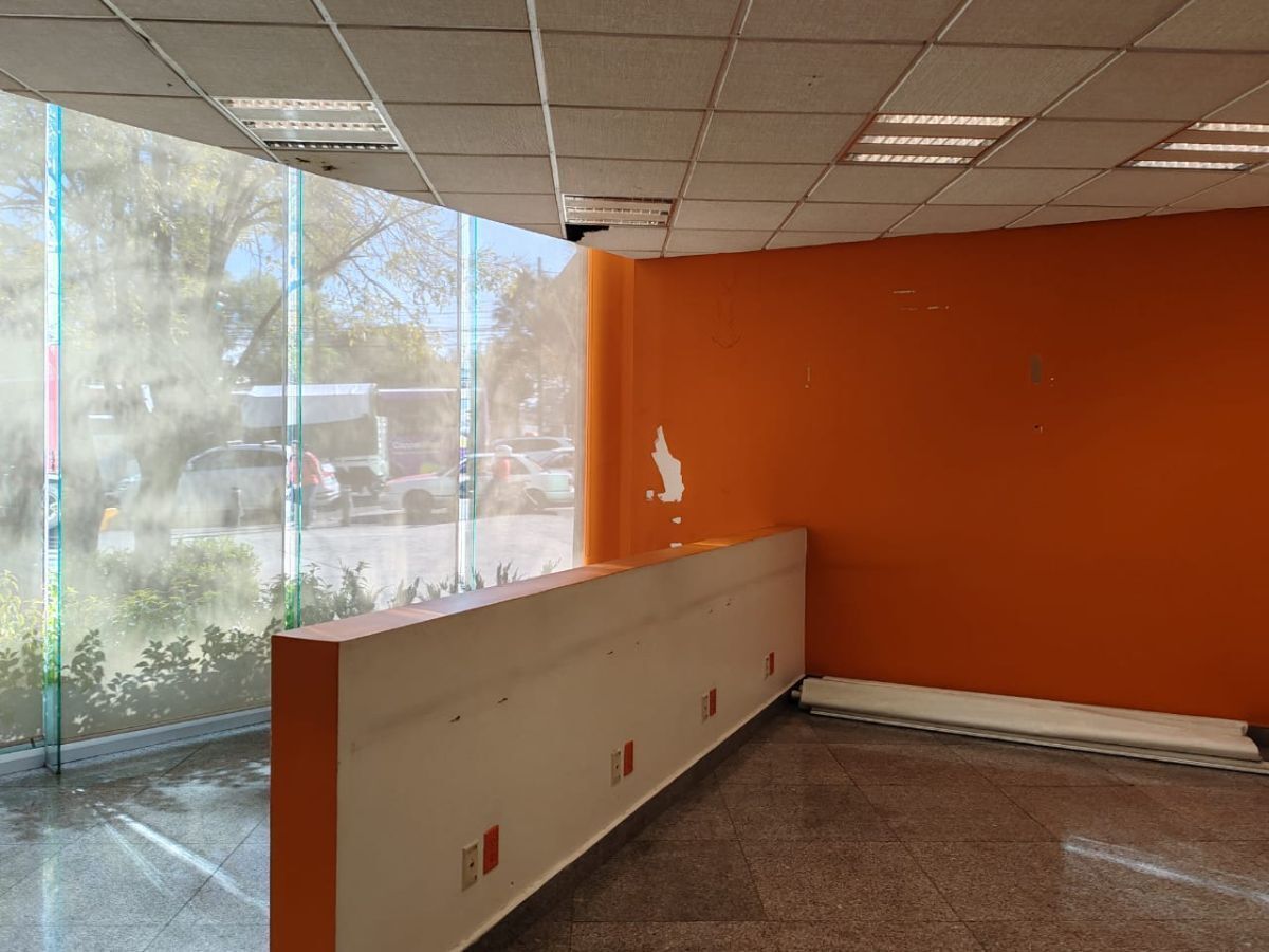 2342C, Avenida Insurgentes Sur, Chimalistac, 01070 2342C, Avenida Insurgentes Sur, Chimalistac, 01070