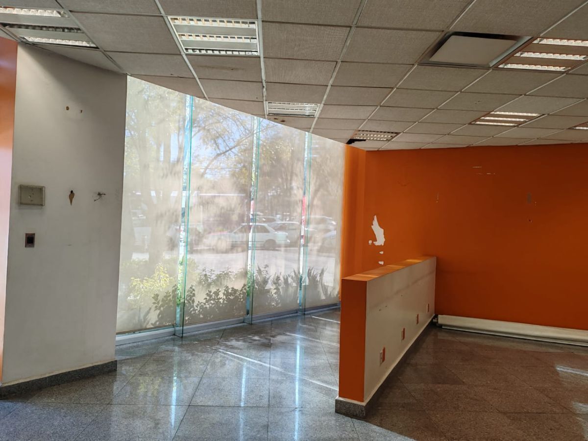 2342C, Avenida Insurgentes Sur, Chimalistac, 01070 2342C, Avenida Insurgentes Sur, Chimalistac, 01070