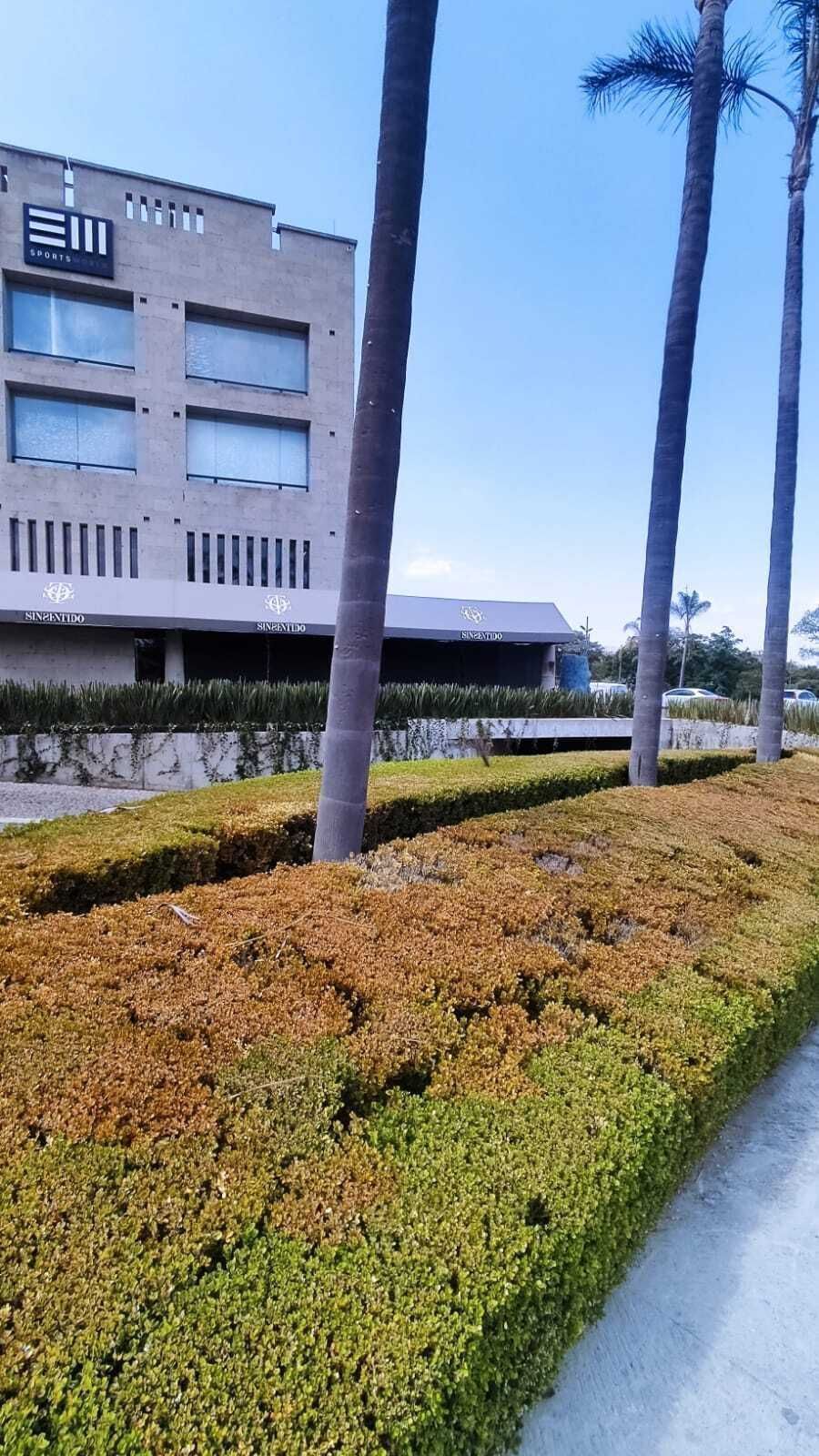 241, Avenida Adolfo Ruiz Cortines, Mexico Nuevo, 52966 241, Avenida Adolfo Ruiz Cortines, Mexico Nuevo, 52966