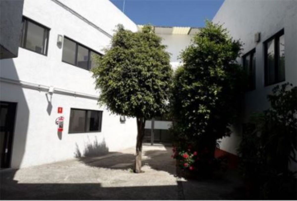 3, Chabacano, San Mateo Tlaltenango, 05600 3, Chabacano, San Mateo Tlaltenango, 05600
