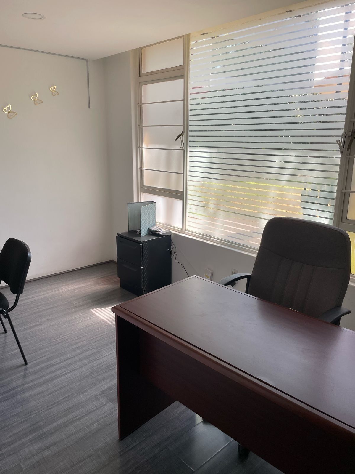 31, Tintoreto, Nonoalco, 03700 31, Tintoreto, Nonoalco, 03700
