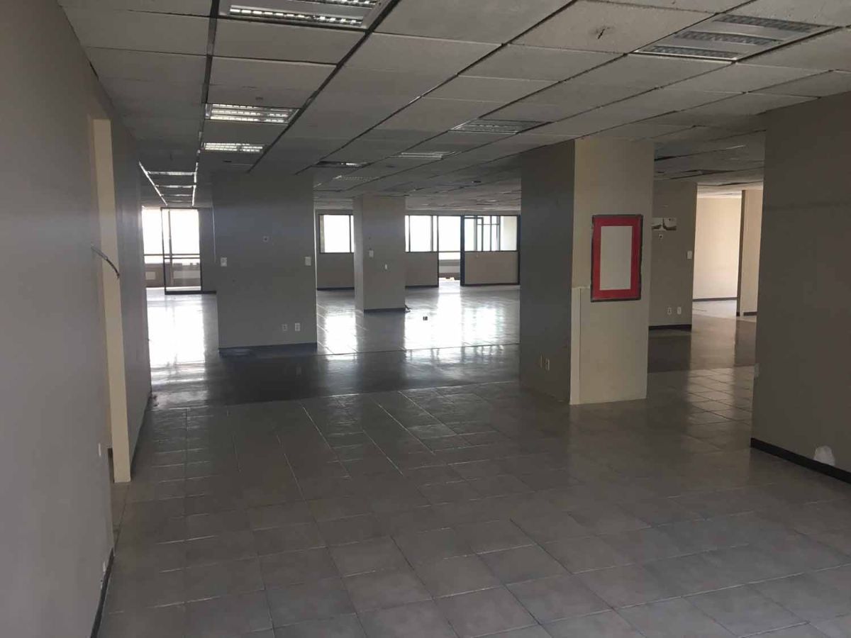 397, Boulevard Miguel de Cervantes Saavedra, Colonia Irrigación, 11500 397, Boulevard Miguel de Cervantes Saavedra, Colonia Irrigación, 11500