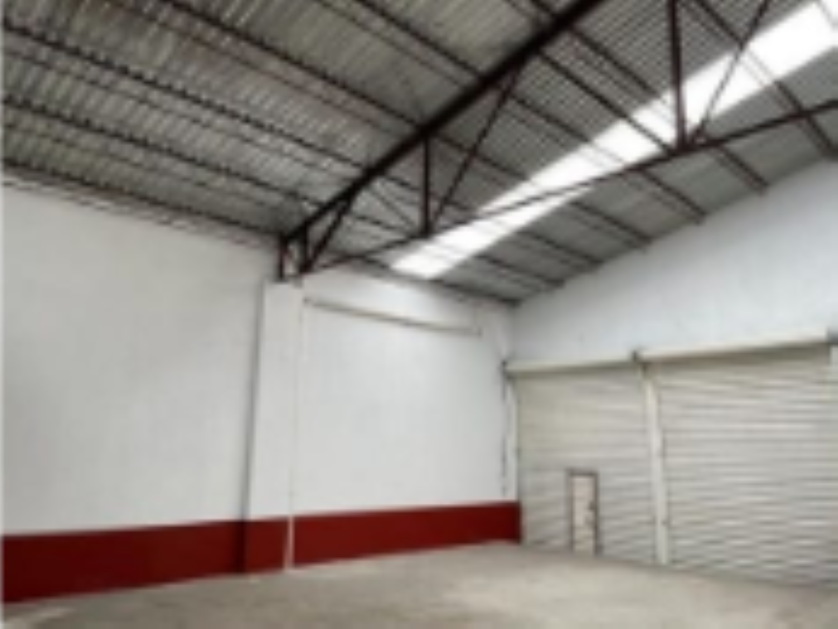 5, Degollado, Guerrero, 06300 5, Degollado, Guerrero, 06300
