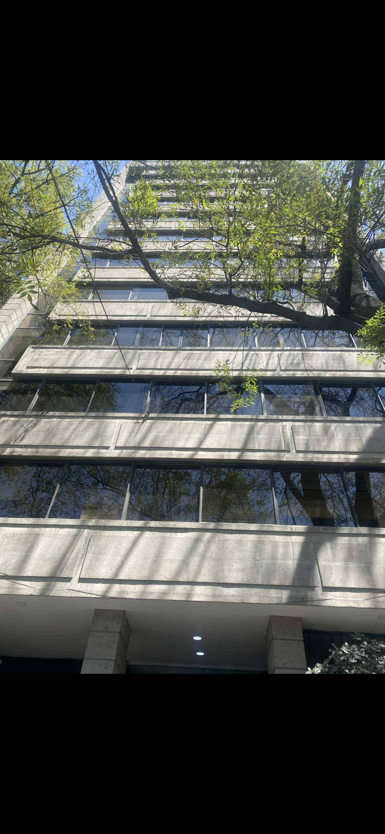 53, Polanco, Polanco, Polanco V Sección, 11560 con 0 Recámaras, 0 Baños, 130 Metros Cuadrados y 2 Puestos de Estacionamiento 53, Polanco, Polanco, Polanco V Sección, 11560 con 0 Recámaras, 0 Baños, 130 Metros Cuadrados y 2 Puestos de Estacionamiento