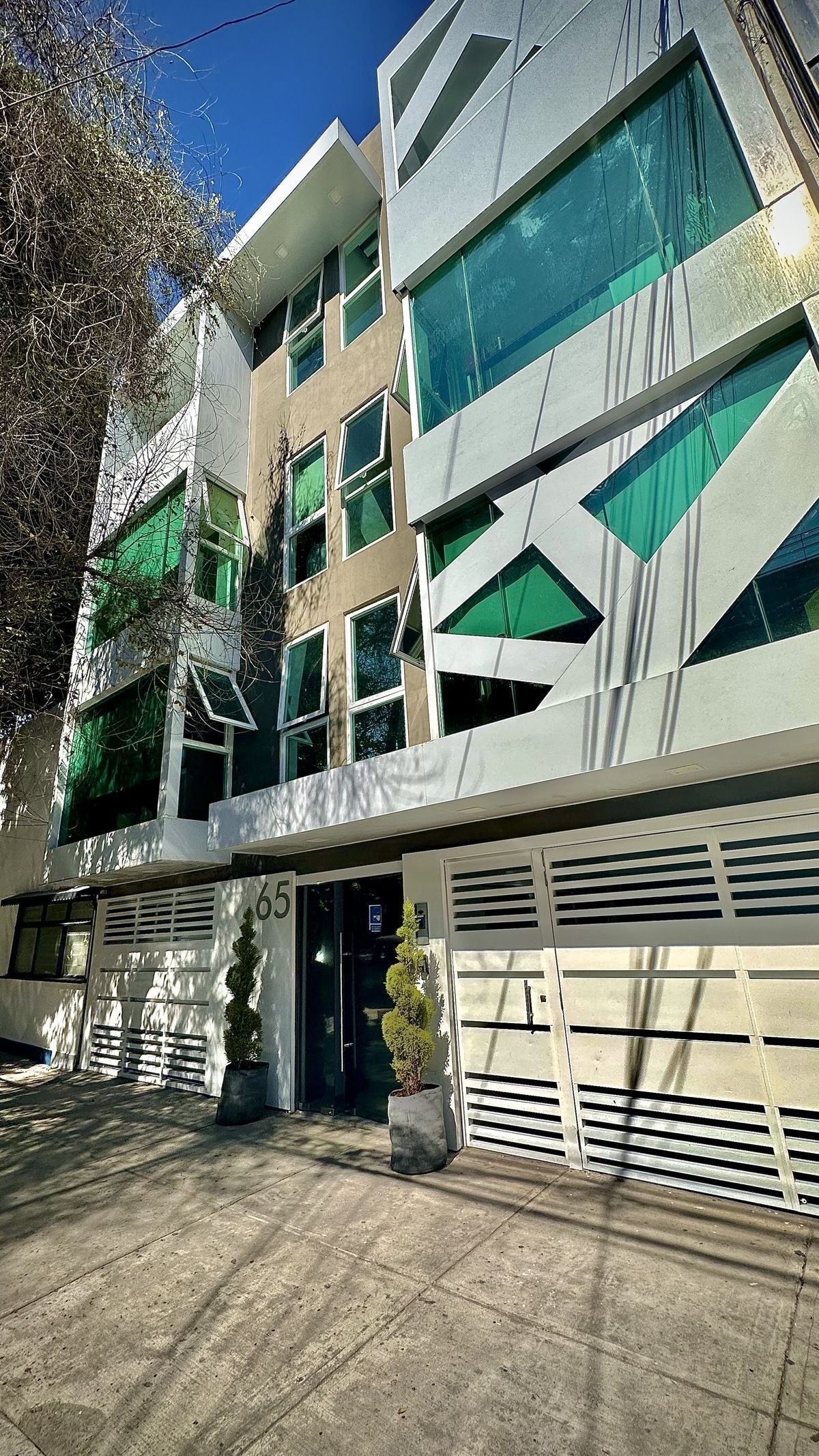65, Guanajuato, Roma Norte, 06700 65, Guanajuato, Roma Norte, 06700
