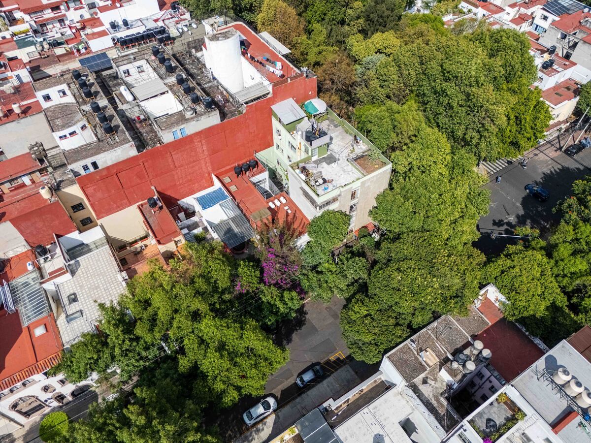 81, Avenida Mazatlan, Colonia Condesa, 06140 81, Avenida Mazatlan, Colonia Condesa, 06140