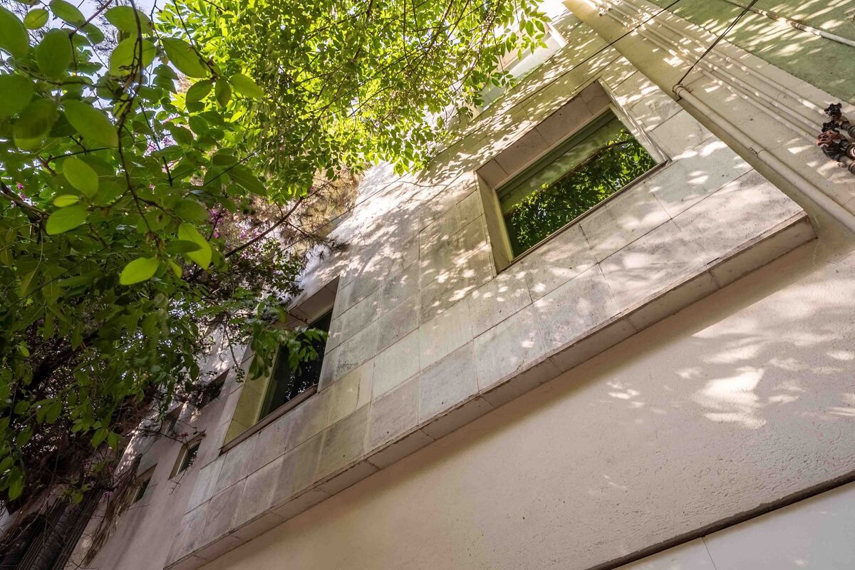 81, Avenida Mazatlan, Colonia Condesa, 06140 81, Avenida Mazatlan, Colonia Condesa, 06140