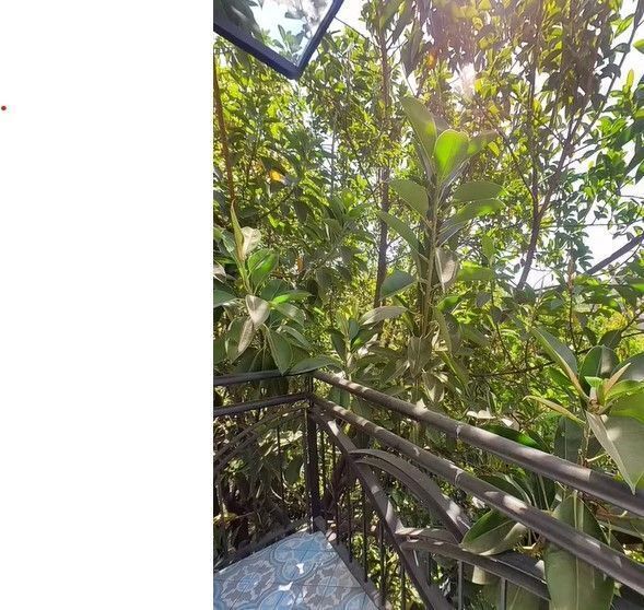 96, Calle Pachuca, Colonia Condesa, 06140 con 0 Recámaras, 0 Baños, 988 Metros Cuadrados y $69,000,000 96, Calle Pachuca, Colonia Condesa, 06140 con 0 Recámaras, 0 Baños, 988 Metros Cuadrados y $69,000,000