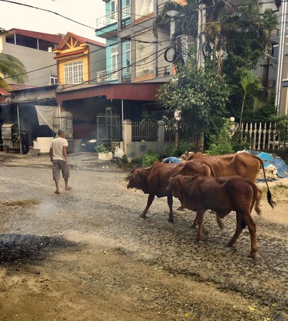 Vietnam street