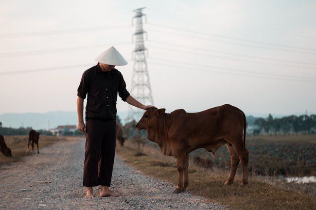 Vietnam countryside