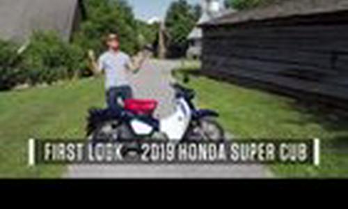 2019 Honda Super Cub - First Look Review